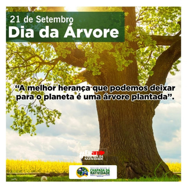 Dia 21 Dia da Árvore